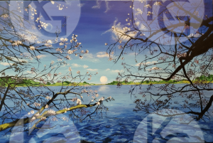 205WM 205 Blue Water